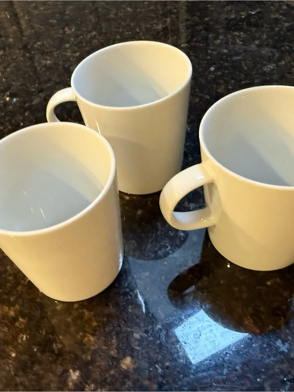 Crate and Barrel Maison DISCONTINUED  Ceramic Dinnerware Set with Mugs